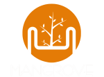 mangrove